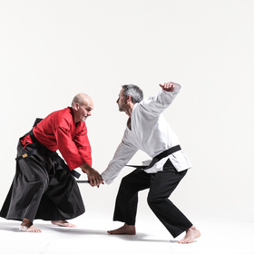 Hapkido 2 — figure reference